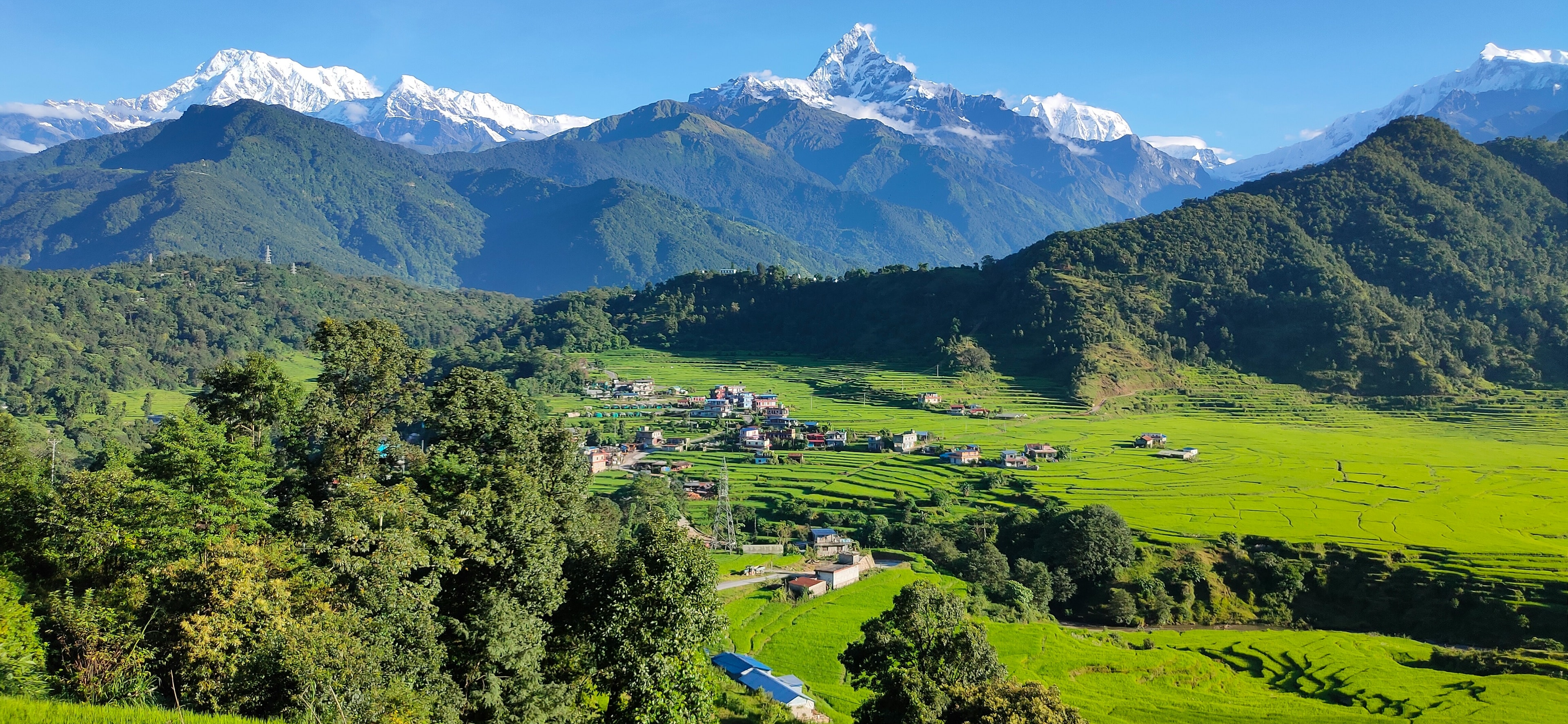 100% organic Himalayan food products from Nepal — Anupam Prakriti