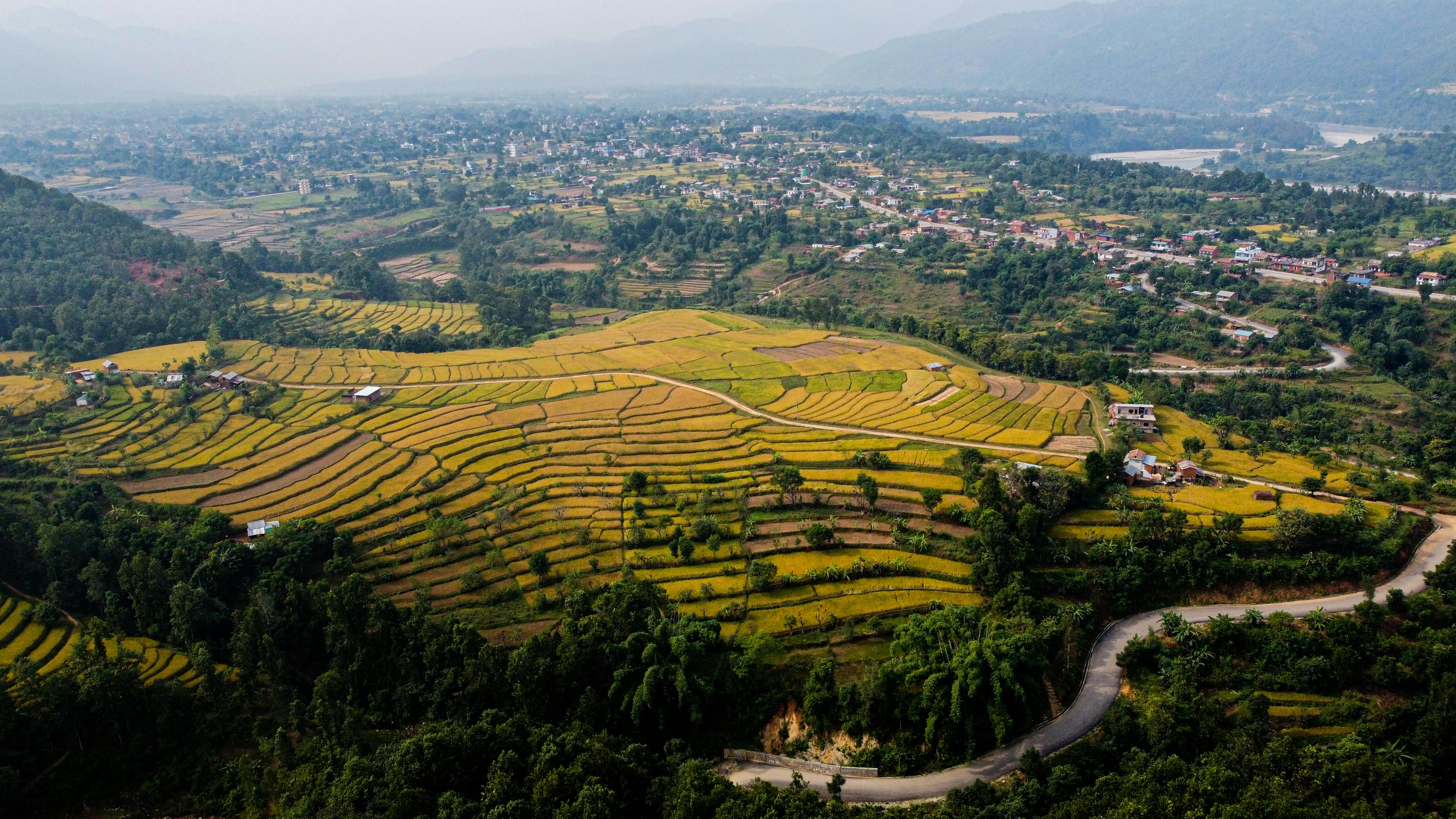100% organic Himalayan food products from Nepal — Anupam Prakriti