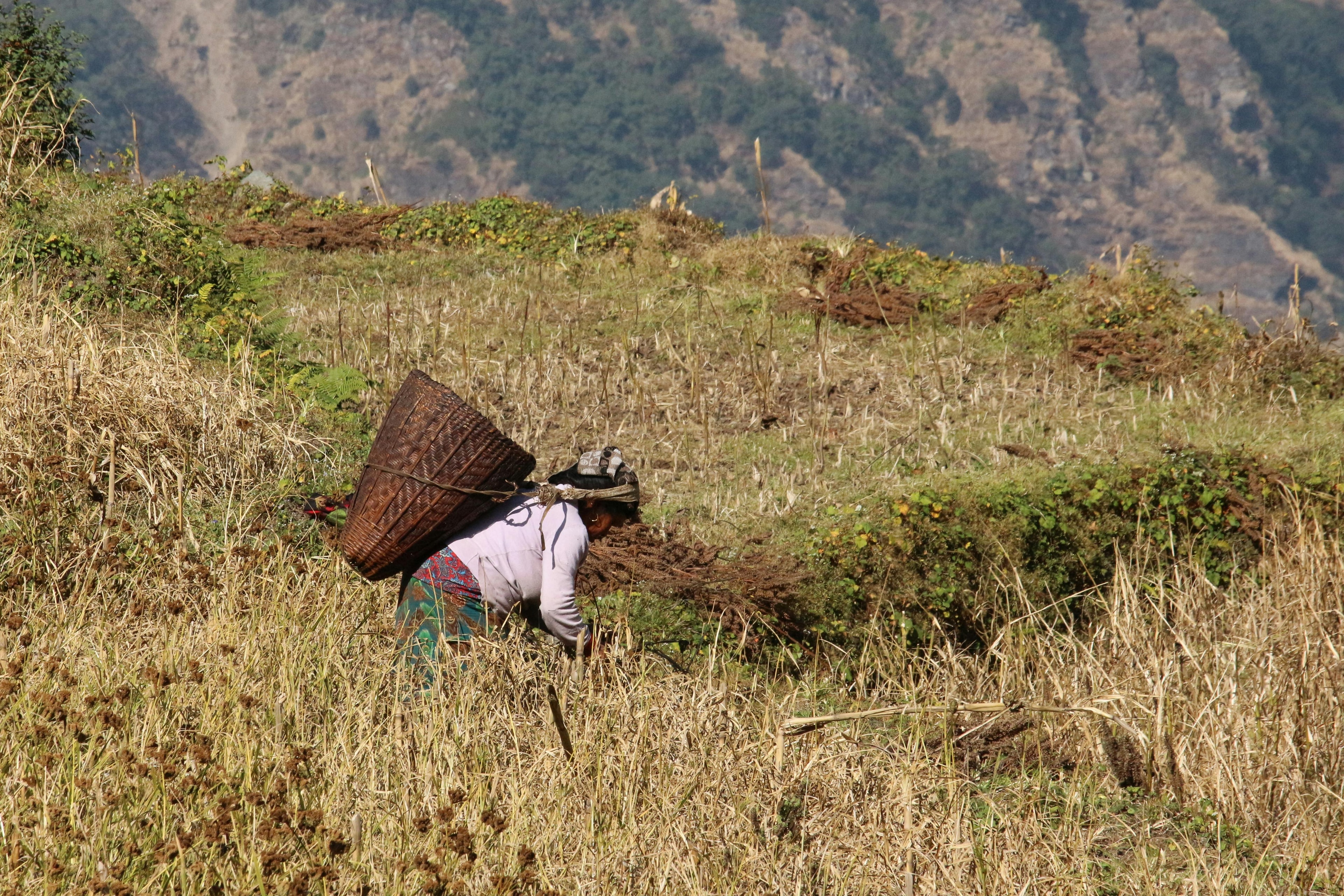 100% organic Himalayan food products from Nepal — Anupam Prakriti