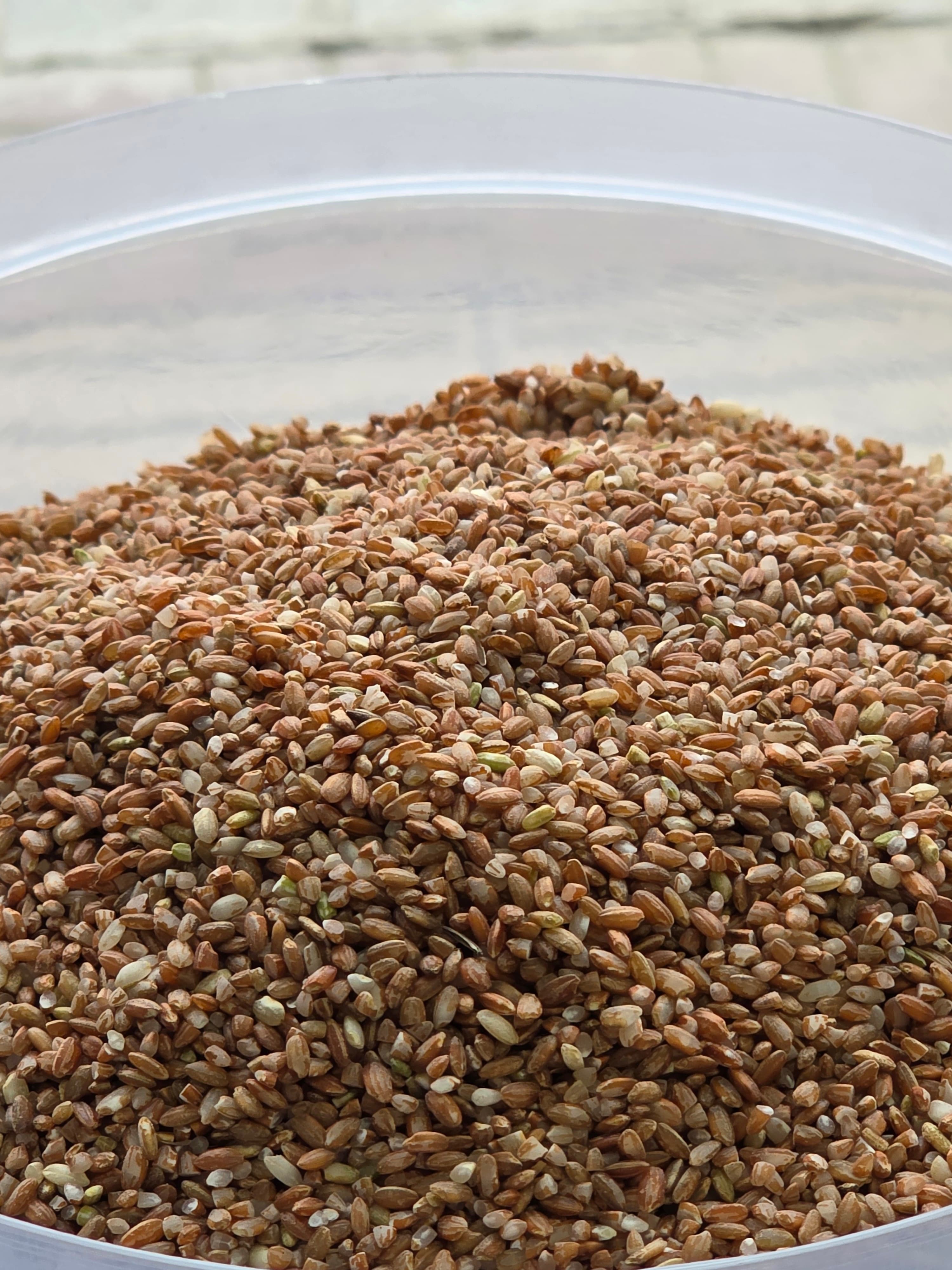 Jumla Marsi chamal - 100% Organic Himalayan Agro Product from Anupam Prakriti, Nepal
