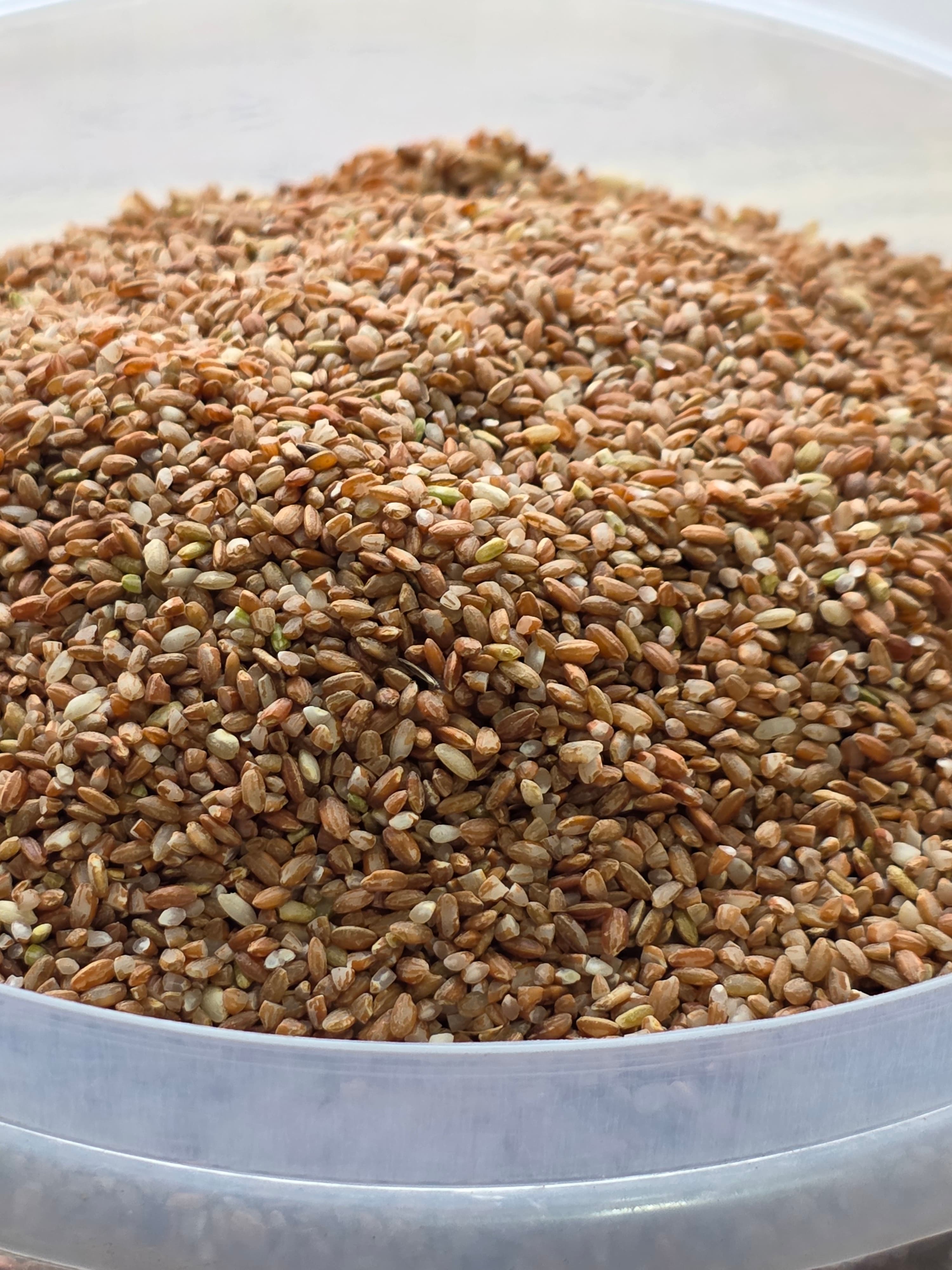 Jumla Marsi chamal - 100% Organic Himalayan Agro Product from Anupam Prakriti, Nepal