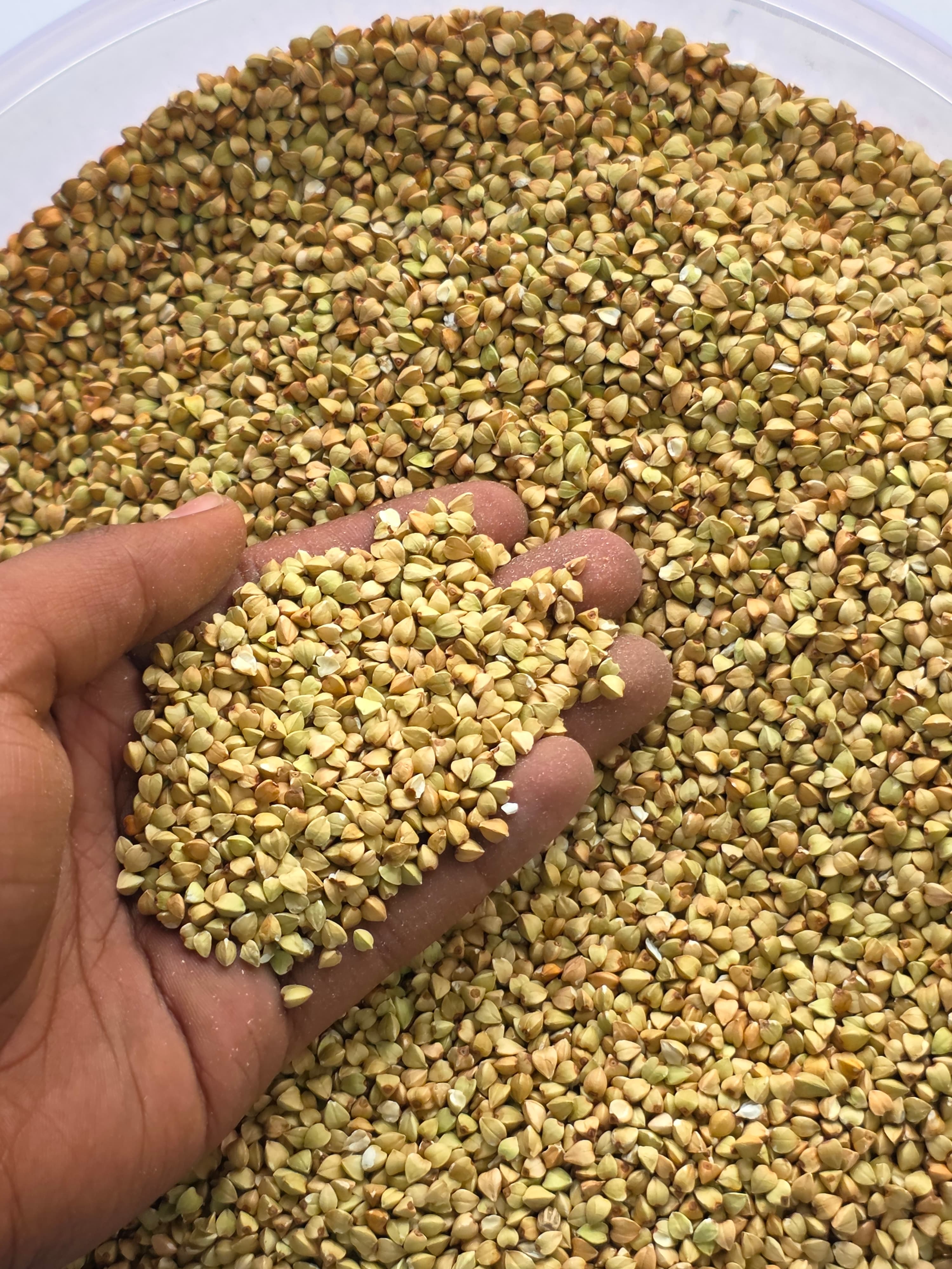 लोकल फापर (दाना) - 100% Organic Himalayan Agro Product from Anupam Prakriti, Nepal